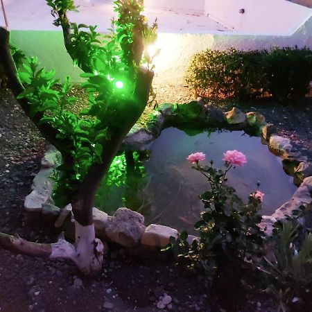 Aegean Pearl Hotell Tigaki Eksteriør bilde